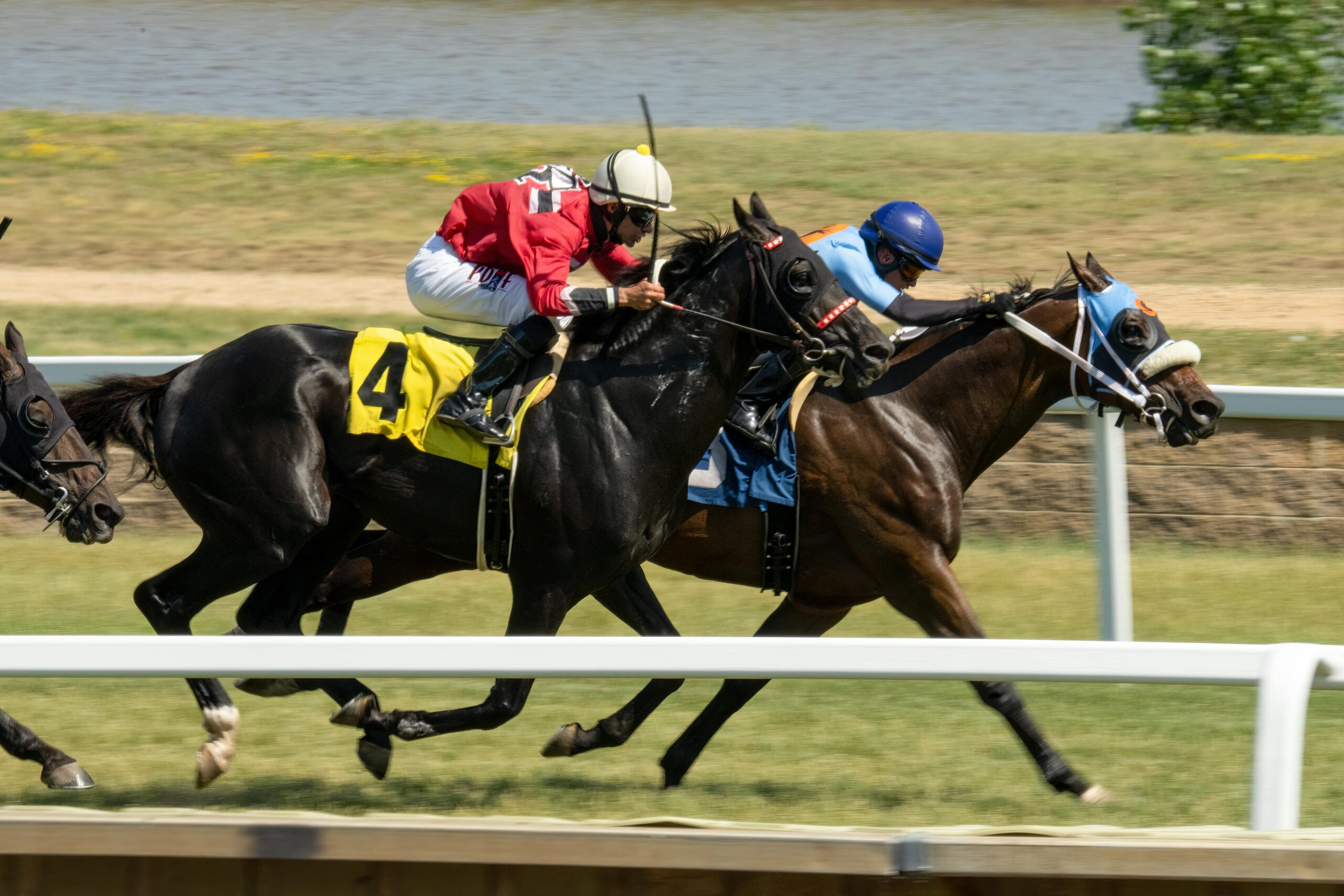 Racebets – Die moderne Plattform für Pferdewetten und Online-Sportwetten